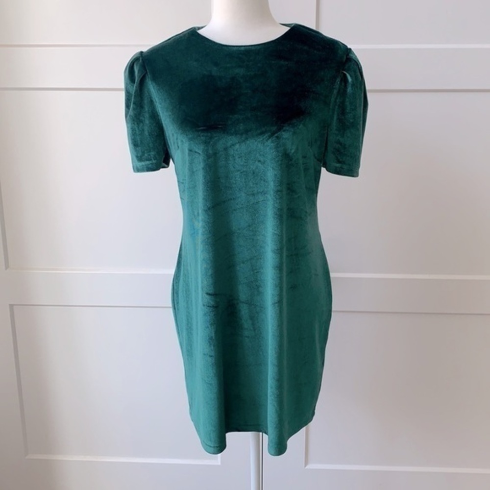 WRUF green velvet dress. New with tags.